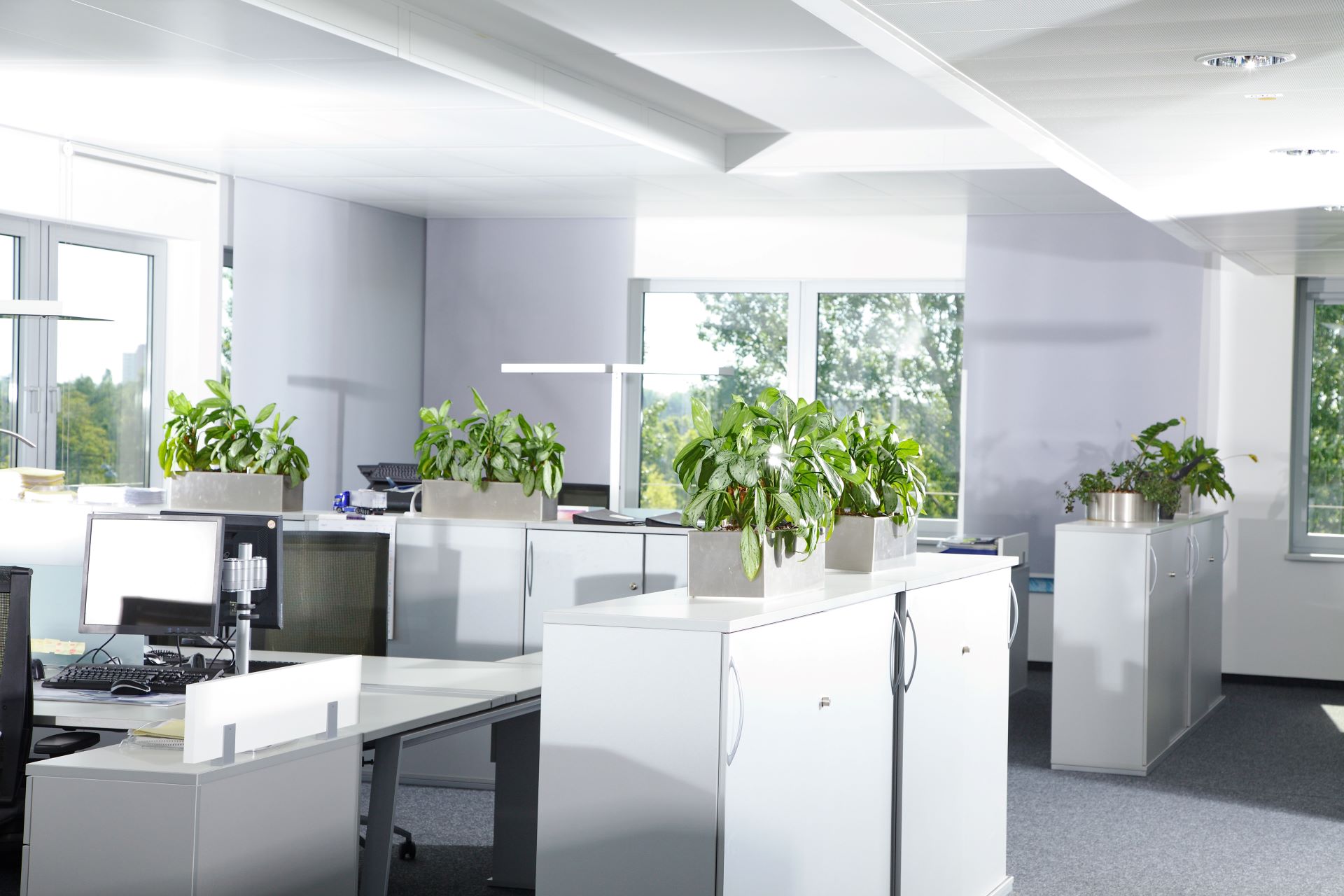 Resume Writing Services Walliston WA